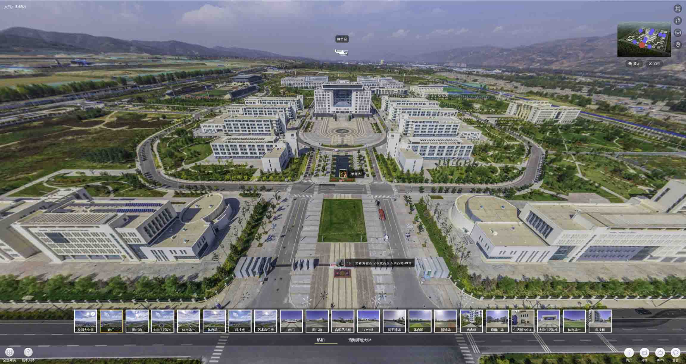 久治油菜花-惊艳半生的花海仙境